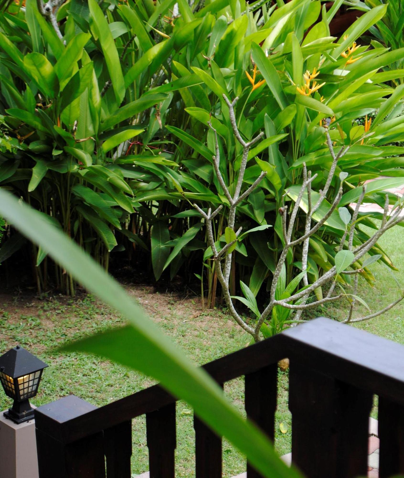 'צ'אוונג ביץ Baan Sawan Samui Resort חדר תמונה